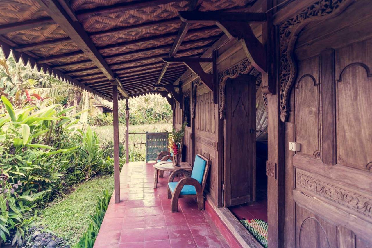 Dragonfly Village Убуд Экстерьер фото