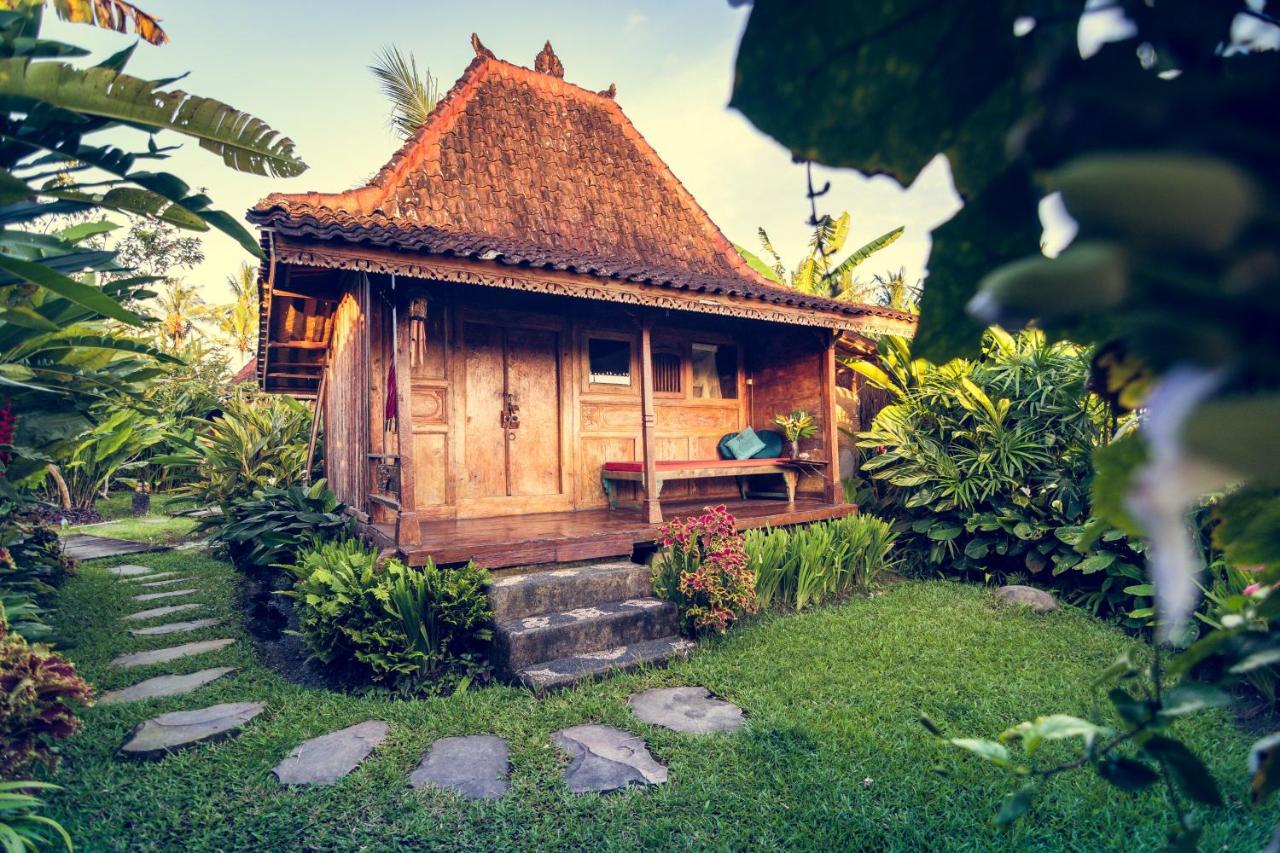 Dragonfly Village Убуд Экстерьер фото